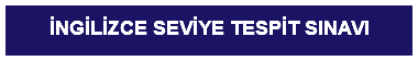 &nbsp;İNGİLİZCE SEVİYE TESPİT SINAVI
